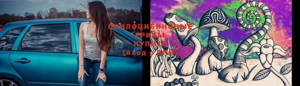 молекула духа Куйбышев