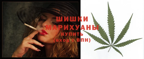 гидра Кулебаки