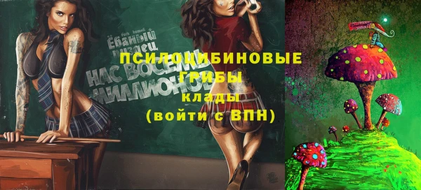 спиды Кукмор