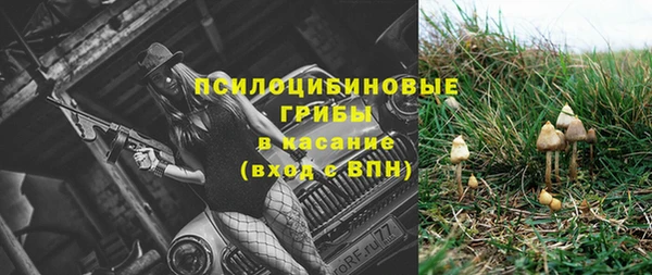 молекула духа Куйбышев