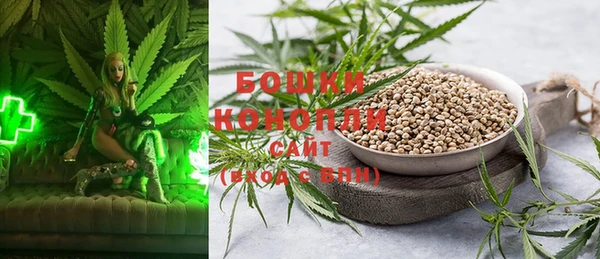 молекула духа Куйбышев