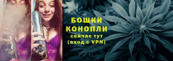 гидра Кулебаки